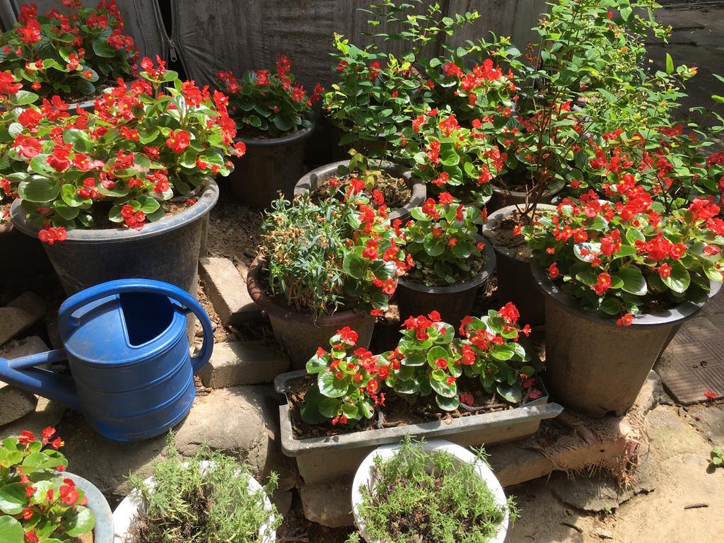 סיאול Mk Guesthouse מראה חיצוני תמונה